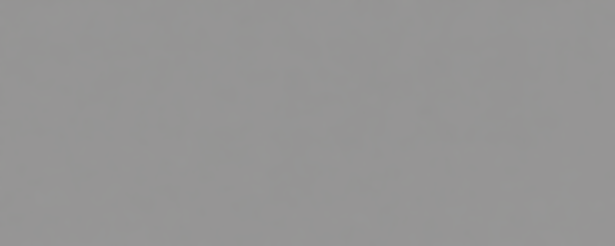 grey1600X300